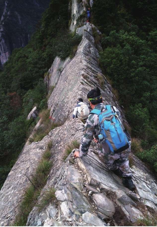 三角形构图-示例1.jpeg