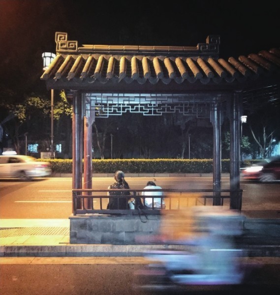 主体与陪体-凉亭为主体树叶为陪体.jpeg